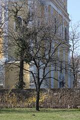 IMG_3969